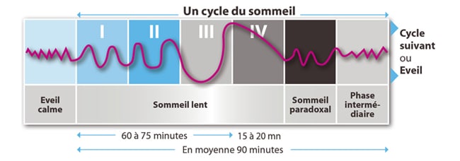 Combien de temps dure un cycle de sommeil ? – Blanc Cerise