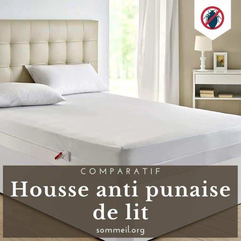 Housse Oreiller 65x65 Cm Anti Punaises De Lit Et Acariens – Tissu Microtext 1016 Fils/cm² – Fermeture Hermétique – Lavable 60°C - 4