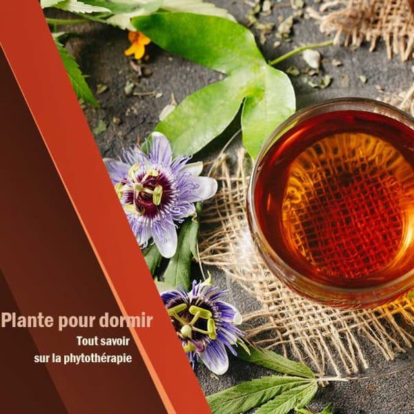 Plante pour dormir tout savoir sur la phytothérapie — free download