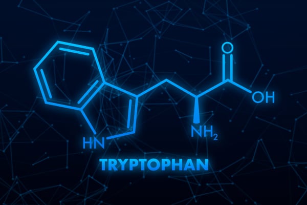 Tryptophane et sommeil